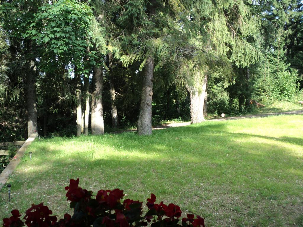 Cabana Suvenirurilor Scarisoara  Exterior photo