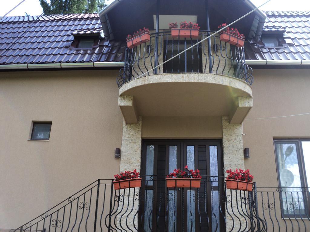 Cabana Suvenirurilor Scarisoara  Exterior photo
