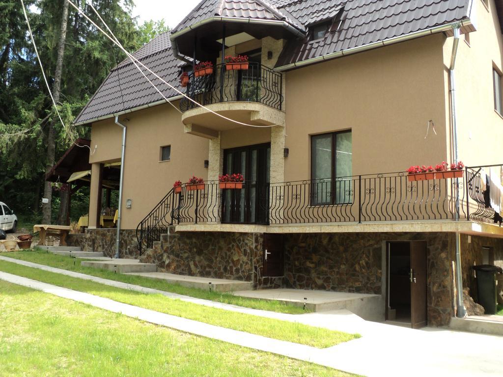 Cabana Suvenirurilor Scarisoara  Exterior photo